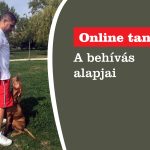 A behívás alapjai!