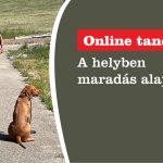 A helyben maradás alapjai!