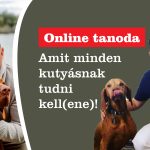 Amit minden kutyásnak tudni kell(ene)!